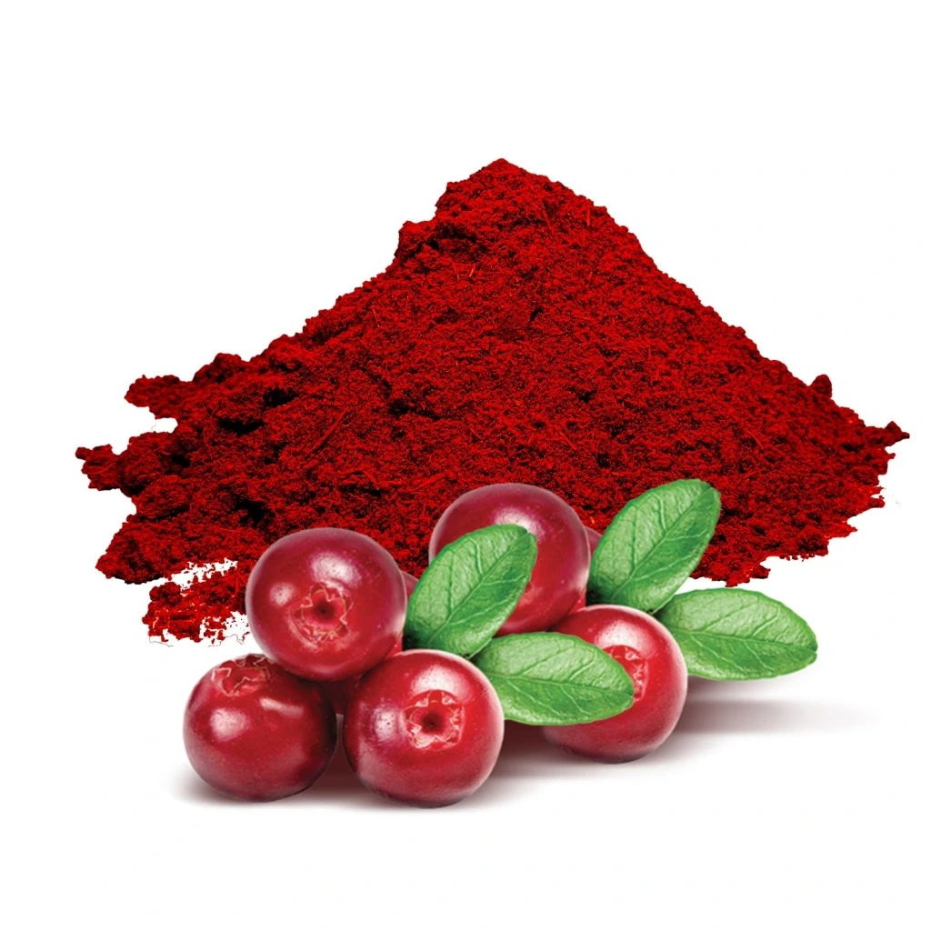 A pile of natural red cranberry extract powder next to fresh cranberries for urinary health support.